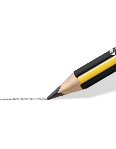 LAPICES GRAFITO STAEDTLER TRIPLUS 2B