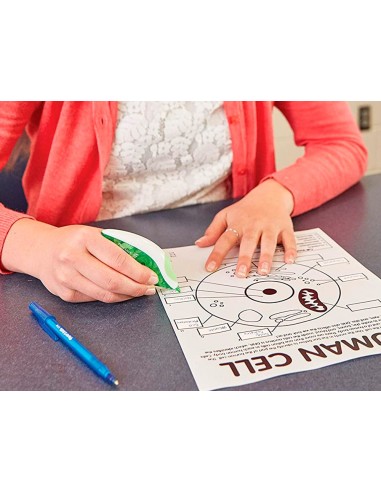 CORRECTOR DRYLINE COLOR CINTA 5MMX 8,5 MT FANTASIA