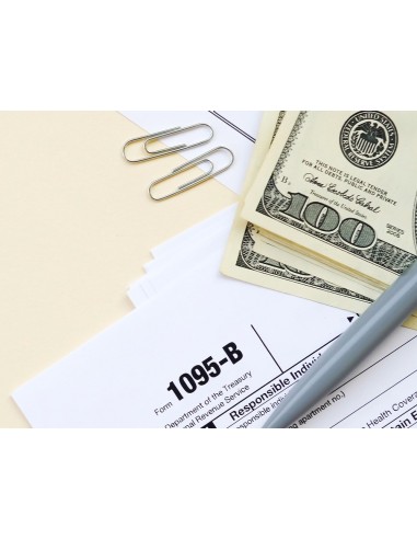 CLIPS LABIADOS Nº 2 33 MM CAJA 100 UDS.