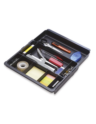 BANDEJA ORGANIZADORA EXACOMPTA DRAWINSERT CAJONES NG. 298X246X36 MM