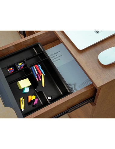 BANDEJA ORGANIZADORA Q-CON.DE CAJONES NG.364X225X21MM