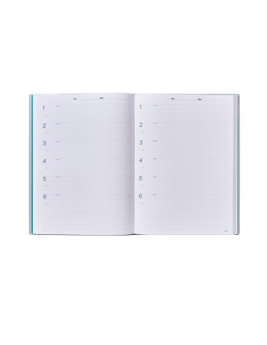 DIARIO DEL AULA ADDITIO POR DIA HORA O SESION 192 PG. 22,5X30,5 CM