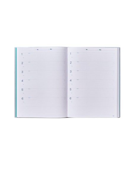 DIARIO DEL AULA ADDITIO POR DIA HORA O SESION 192 PG. 22,5X30,5 CM