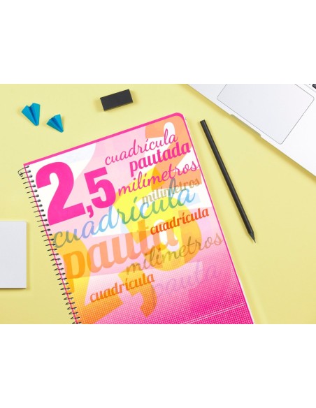 CUADERNO ESP. LIDERPAPEL FL. T.CARTON PAUTA 2.5MM 80H. 70GR.COL.SURT.