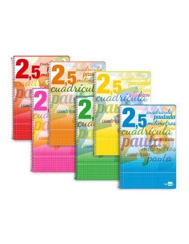 CUADERNO ESP. LIDERPAPEL FL. T.CARTON PAUTA 2.5MM 80H. 70GR.COL.SURT.