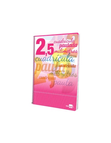 CUADERNO ESP. LIDERPAPEL FL. T.CARTON PAUTA 2.5MM 80H. 70GR.COL.SURT.