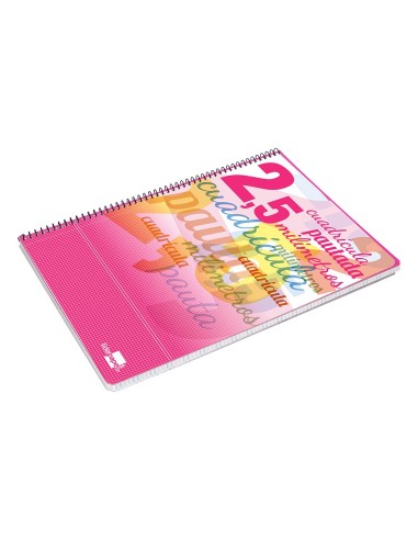 CUADERNO ESP. LIDERPAPEL FL. T.CARTON PAUTA 2.5MM 80H. 70GR.COL.SURT.