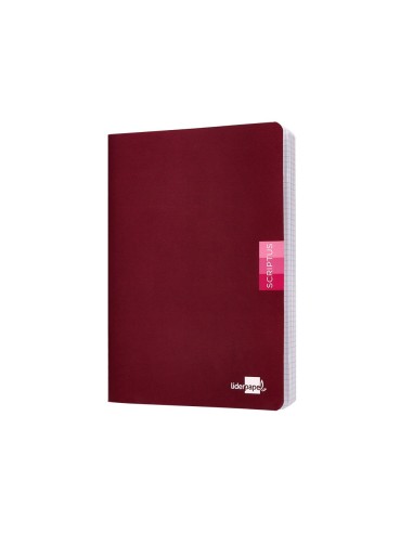 CUADERNO ENCOLADO SCRIPTUS A5 T.CARTON LISO 48H. 90GR. COL.SURT.