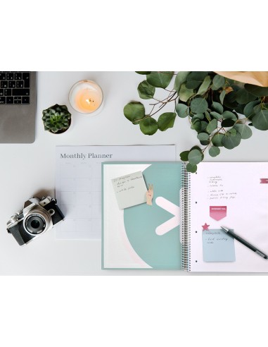 CUADERNO ESP. ANTARTIK A4 T.FORRADA LISO 5B 4T.120H 100GR.MENTA