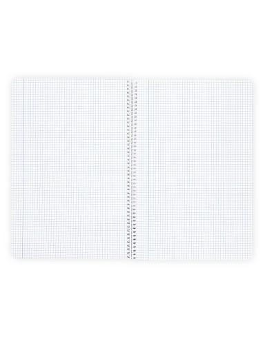 CUADERNO ESP.A4 WONDER T.PLAST.80H 90GR 5MM MARGEN SURT.