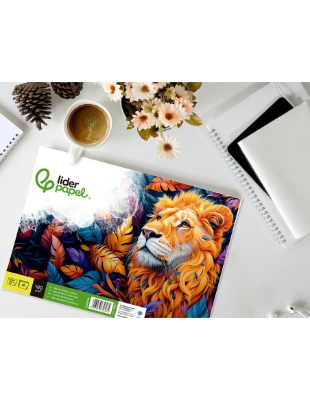 BLOC ENCOLADO LIDERPAPEL DIBUJO 230X325MM 20H. 180GR.