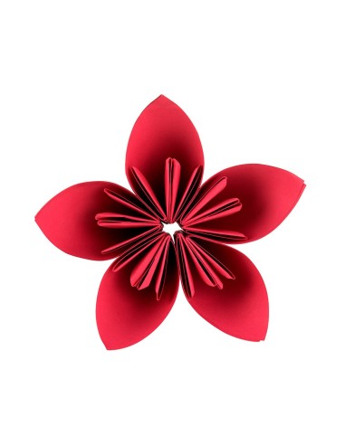 BLOC LIDERPAPEL MANUALIDADES 240X315MM CARTULINA 10H. SURT.