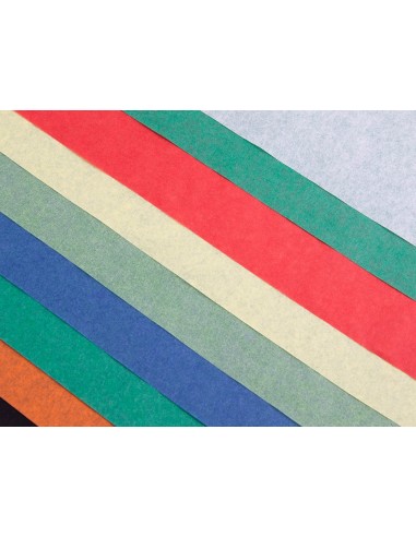 BLOC LIDERPAPEL MANUALIDADES 240X315MM PAPEL SEDA 10H. SURT.