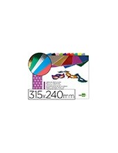 BLOC LIDERPAPEL MANUALIDADES 240X315MM CARTULINA MET. 10H. 250GR. 2