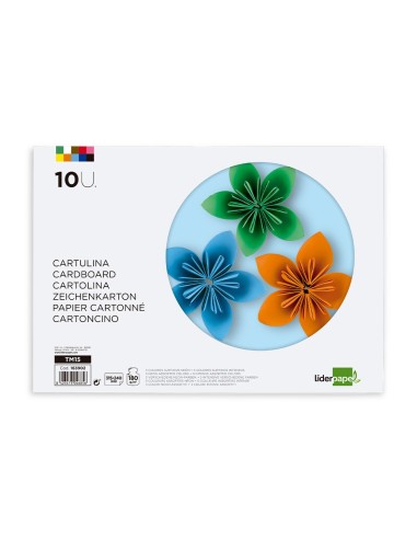 BLOC TRABAJOS MANUALES  CARTULINA 240X315MM 10H. 5 NEON+5 INTENSOS