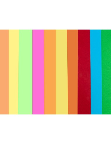 BLOC TRABAJOS MANUALES  CARTULINA 240X315MM 10H. 5 NEON+5 INTENSOS