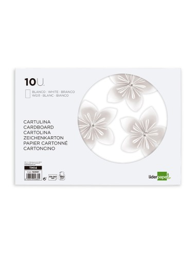 BLOC TRABAJOS MANUALES  CARTULINA 240X315MM 10H. BL.