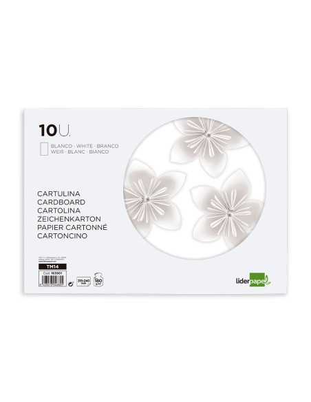 BLOC TRABAJOS MANUALES  CARTULINA 240X315MM 10H. BL.