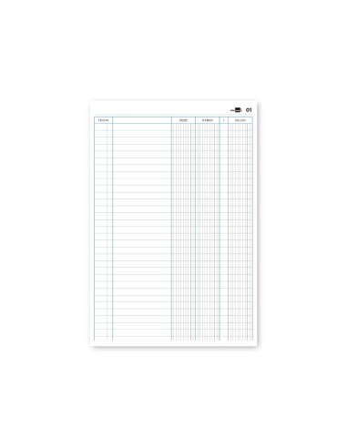 LIBRO  FL. CARTONE 100H. CUENTAS CORRIENTES DEBE HABER SALDO