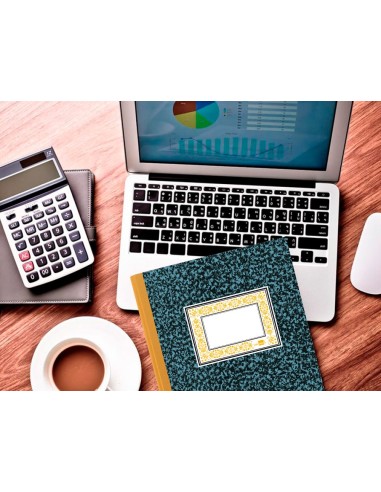 LIBRO  FL. CARTONE 100H. CUENTAS CORRIENTES DEBE HABER SALDO