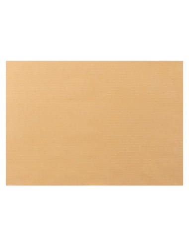 SOBRE BOLSA N.11 KRAFT FL.PROLONGADO 250X353MM TIRA SILICONA CAJA 250