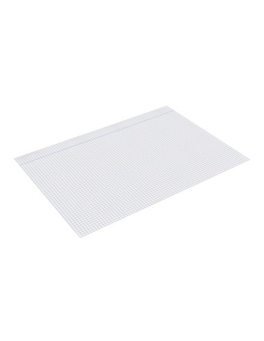 PAPEL DIN A4 80 GR CUADRO 4 MM SIN MARGEN P/100 SIN TAL.