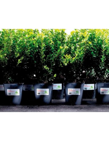 ETIQUETA ADH. RESIS AVERY POLIESTER BL.LASER 45,7X21,2MM CAJA 960 UD.