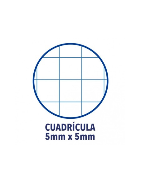 RECAMBIO 1 OXFORD A4+ 80H. 90GR.5MM 4 TAL.ICE MINT