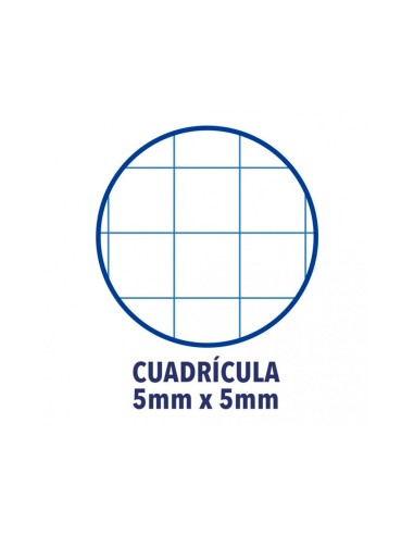 RECAMBIO 1 OXFORD A4+ 80H. 90GR.5MM 4 TAL.RJ.