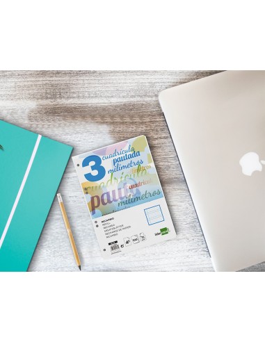 RECAMBIO LIDERPAPEL4º100 H CUADO PAUTADO 3 MM 70 GR C/MARGEN**