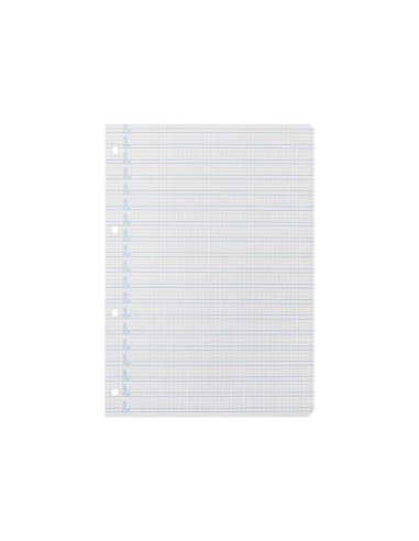 RECAMBIO LIDER.FL.100 H 4 TALADROS 70 GR CUADRO PAUT.4MM MARG**