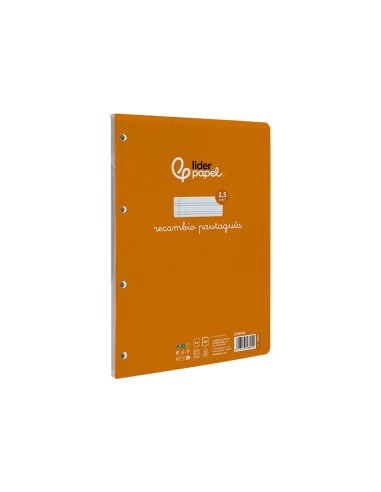 RECAMBIO LIDER.FL.100 H 4 TALADROS 70 GR CUADRO PAUT.2,5MM MA**