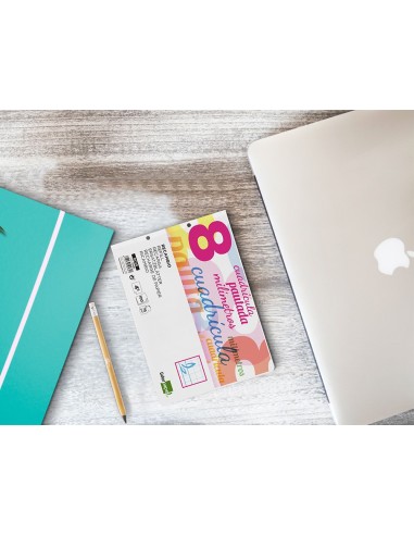 RECAMBIO LIDER.4º 100H.70G/M2 CUADRO PAUT.8MM 2 TALADROS **