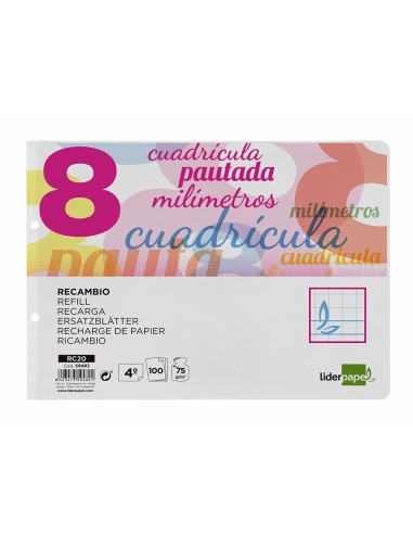 RECAMBIO LIDER.4º 100H.70G/M2 CUADRO PAUT.8MM 2 TALADROS **