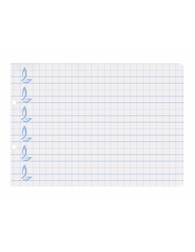 RECAMBIO LIDER.4º 100H.70G/M2 CUADRO PAUT.8MM 2 TALADROS **