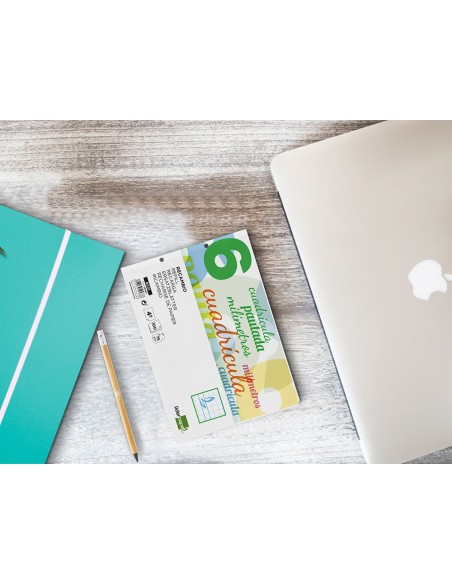 RECAMBIO LIDER.4º 100H.70G/M2 CUADRO PAUT.6MM 2 TALADROS **