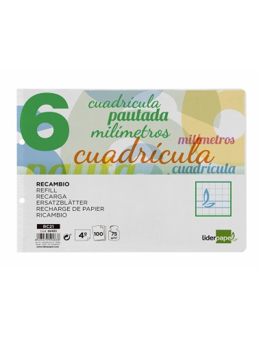 RECAMBIO LIDER.4º 100H.70G/M2 CUADRO PAUT.6MM 2 TALADROS **