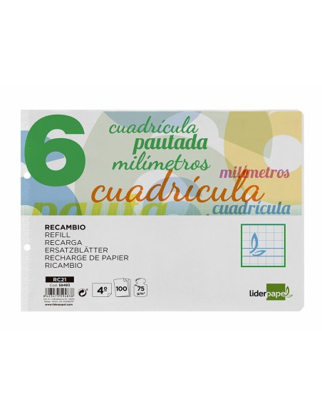 RECAMBIO LIDER.4º 100H.70G/M2 CUADRO PAUT.6MM 2 TALADROS **