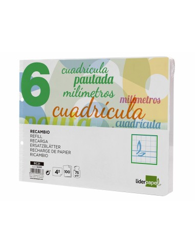 RECAMBIO LIDER.4º 100H.70G/M2 CUADRO PAUT.6MM 2 TALADROS **