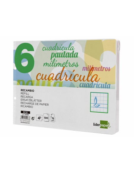 RECAMBIO LIDER.4º 100H.70G/M2 CUADRO PAUT.6MM 2 TALADROS **