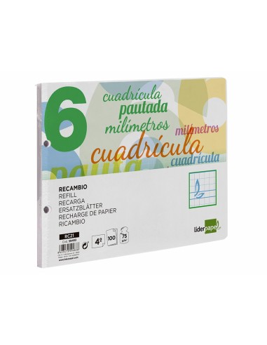 RECAMBIO LIDER.4º 100H.70G/M2 CUADRO PAUT.6MM 2 TALADROS **