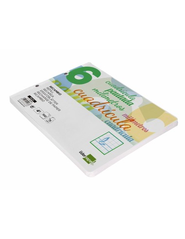 RECAMBIO LIDER.4º 100H.70G/M2 CUADRO PAUT.6MM 2 TALADROS **