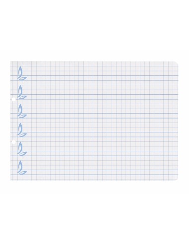 RECAMBIO LIDER.4º 100H.70G/M2 CUADRO PAUT.6MM 2 TALADROS **