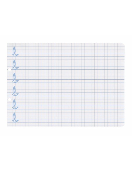 RECAMBIO LIDER.4º 100H.70G/M2 CUADRO PAUT.6MM 2 TALADROS **