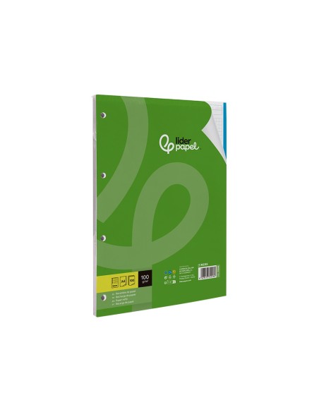 RECAMBIO LIDER.A4 100H.100G CUADRO 5MM 4A BANDAS 5 COL