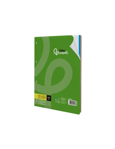 RECAMBIO LIDER.A4 100H.100G CUADRO 5MM 4A BANDAS 5 COL