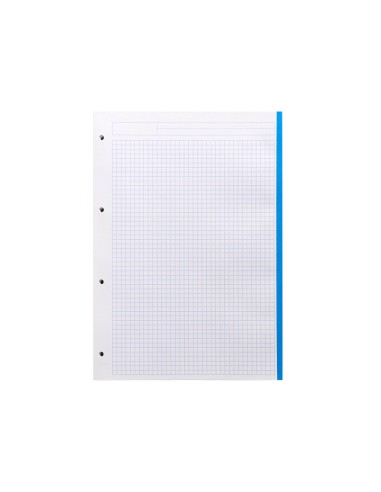 RECAMBIO LIDER.A4 100H.100G CUADRO 5MM 4A BANDAS 5 COL