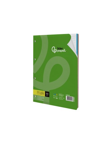 RECAMBIO LIDER.A4 100H.100G RAYADO HORIZONTAL 4A BANDAS 5 COL