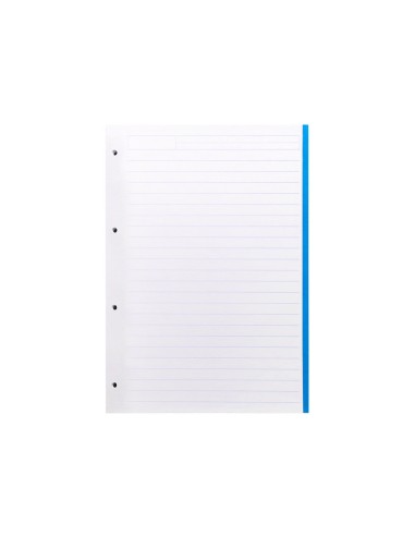 RECAMBIO LIDER.A4 100H.100G RAYADO HORIZONTAL 4A BANDAS 5 COL