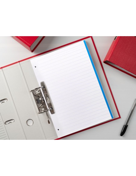 RECAMBIO LIDER.A4 100H.100G RAYADO HORIZONTAL 4A BANDAS 5 COL